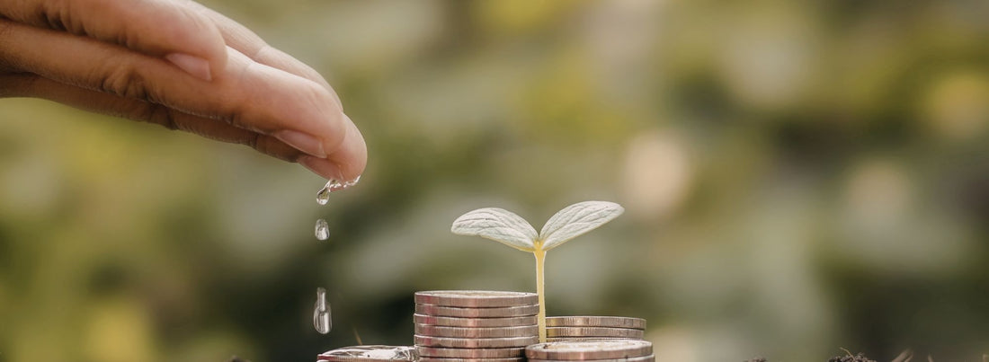 Helping coffee growers in Timor-Leste lift themselves out of poverty